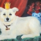 Hundeportrait mit Krone